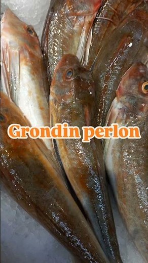 produits arrivés ce matin dans votre poissonnerie d Intermarche isle sur la sorgue