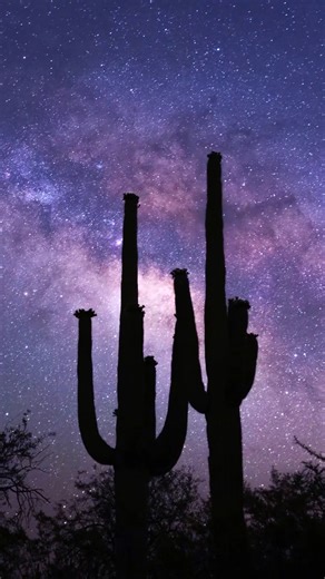 Pause with us and look up. Few places on Earth see the stars like we do. 🔭 Discover world-class astronomy experiences right here in Tucson: https://bit.ly/3Ww1OE5 #VisitTucson #AstroTrail #Astronomy | Visit Tucson