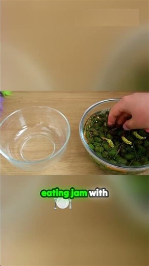 This Jam is Made from Pine Cones!