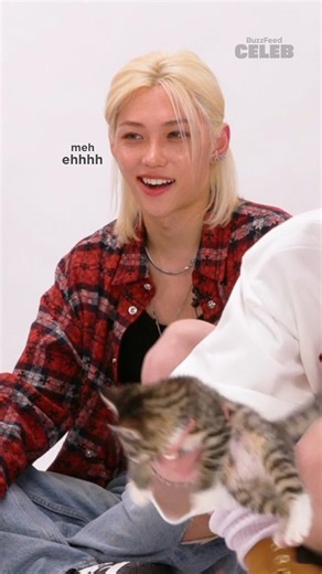 BuzzFeed Animals on Reels