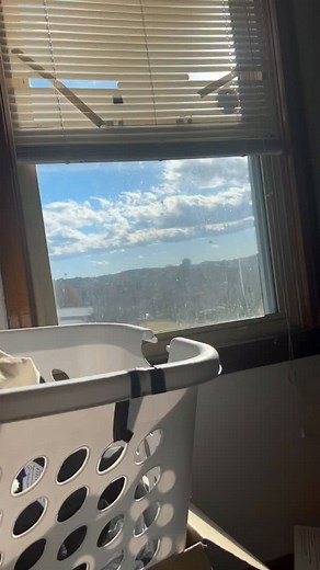 12K views · 36 comments | Birdemic | Afferdin | Facebook