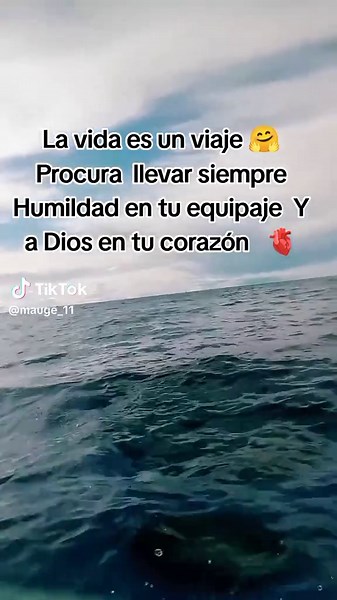 Videos de Mauge (@mauge_11) con “sonido original - -Scoth Daimo Peralta-”