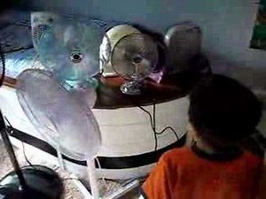 Nate's New Fan Collection