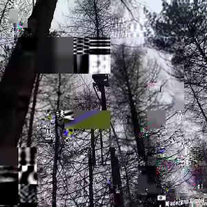 This machine shoots up trees to remove all of their branches. | Interesting Engineering