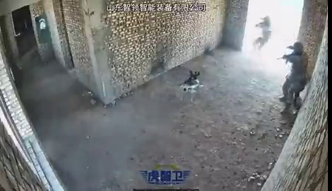 🇨🇳 | China está probando perros robot con ametralladoras montadas, acercando la guerra a una realidad similar a la de Terminator.