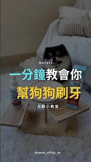 你知道狗狗也需要刷牙嗎？！新手飼主一定要注意的小技巧🪥✨讓我們的訓練師 Yina，一分鐘教你怎麼幫狗狗刷牙！！#新竹訓犬 #寵物訓練 #教學 #萌寵 #狗狗 #pets #animals #博美