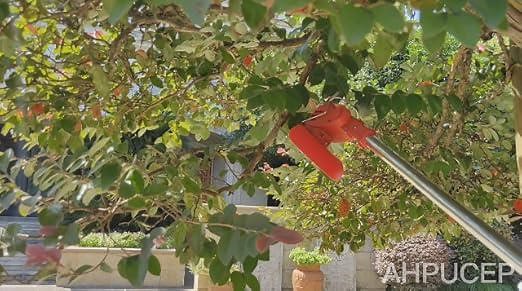 How to Use AHPUCEP Red Weed Wacker
