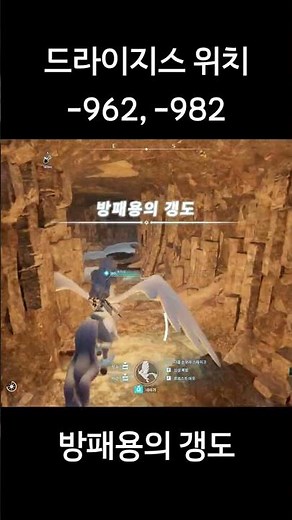 드라이지스 위치