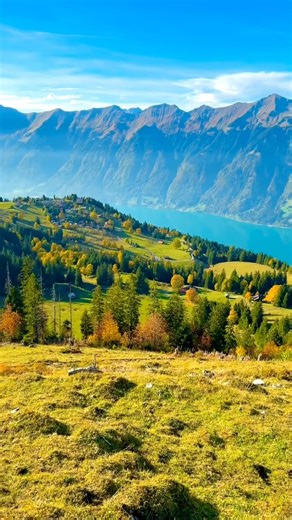 Dorian Concept - Hide