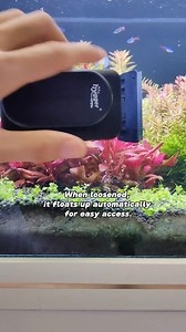 13K views · 59 reactions |  Worried about scratching your glass with rough scrapers or cheap tools? Check out this 퐇퐆ퟎퟔퟖ 퐌퐚퐠퐧퐞퐭퐢퐜 퐀퐥퐠퐚퐞 퐂퐥퐞퐚퐧퐞퐫 https://www.hygger-online.com/product/aquarium-magnet-cleaner-brush/?ref=affiliate | Hygger Aquarium | Facebook