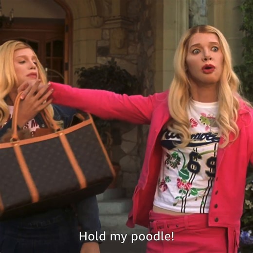 "Hold my poodle!" 👛🐩 Happy 20th Anniversary to the iconic comedy, White Chicks. | Amazon Prime Video