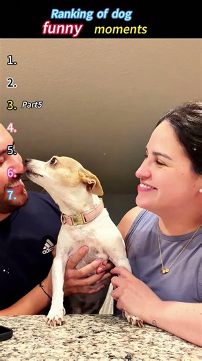 Seeing who dog loves more 🐶💕#dog #love #owner #kiss #pet #funny#fyp#foryou