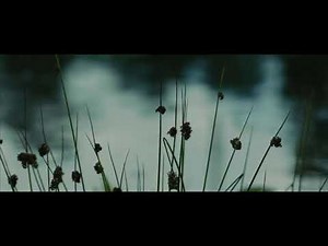 The Maze Runner - Raining Scene (HD)