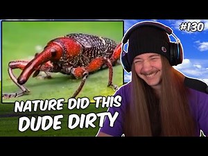 If I Laugh, The Video Ends #130