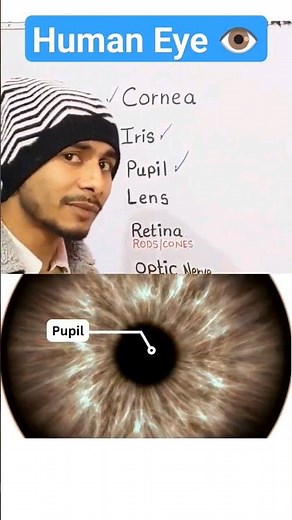 Human Eye Class 8 Science | Structure and Function of human eye class 8 science