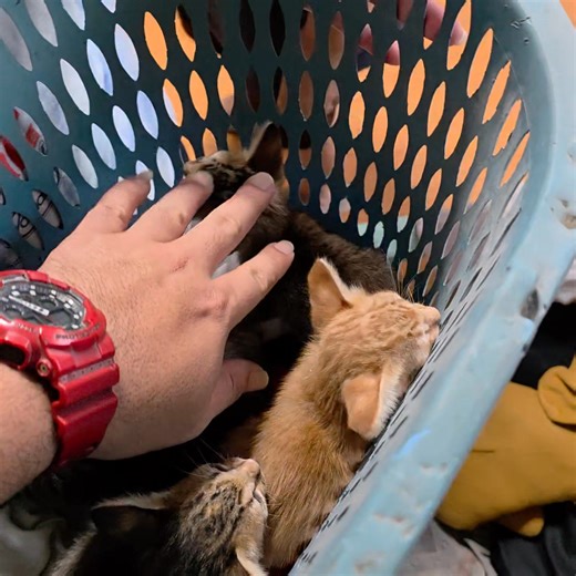 Toni Superbike on Reels