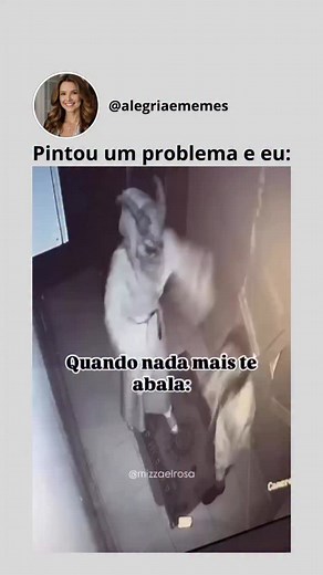 154K views · 27K reactions | #memes #memesdaily #memestagram #problemas #loucura | Alegriaememes | Facebook