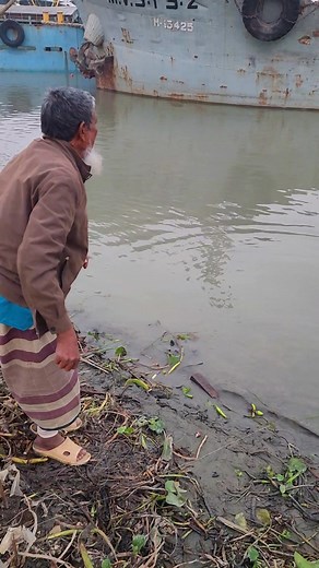 জোকটোপ #নদীরবোয়ালমাছ #বোয়ালমাছেরটোপ | Fast Review