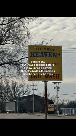 Signs of Spring: Nature's Awakening