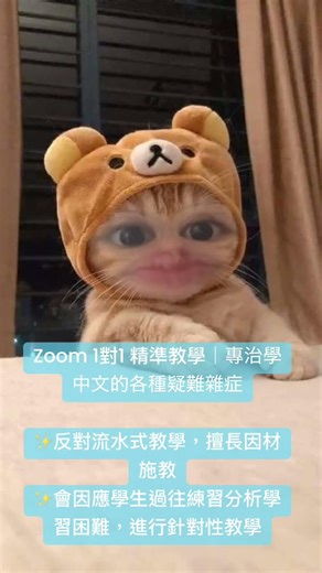 中文系畢業全職私補女導師招學生｜Zoom 1對1 精準教學｜專治學中文的各種疑難雜症