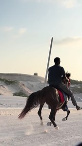 Exploring African Horses with Shugria Arts