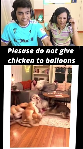 chicken burst balloon on dogs and lady & slayypoint horror game reaction #edit #crossover