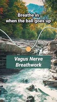 Vagus Nerve Breathwork | Inhale 4, Exhale 8 for Deep Calm #relaxing #breathingexercise #breathbreak