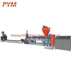 [Hot Item] Pet Granules Making Machine in China