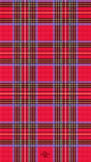 Easy Festive Plaid Wallpaper! Inspired by my holiday PJs haha 🤣 Does anyone else do the matching pajamas thing for the holidays? 🙋🏻‍♀️ Loved making this simple plaid pattern, and it especially came to life with the help of the Knit Texture Brushes! I always love adding these textures at the end to make it feel more realistic and add a bit of depth 🥰 🖌️ Sadie Brush 🖌️ Knit Texture Brushes **Shop thecreativebix.com, link in bio** . . . . . . . #madeonipad #procreate #procreatebrushes #procre