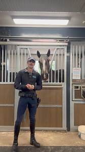 We are back back back again for Meet the Mounties Monday! This week it’s time to meet the loveable Clydesdale x Standardbred Lofty! This 16.3hh beauty is on a learning adventure and we super excited for his future! #mounties #mountedpolice #horse | Mounted Unit - NSW Police Force