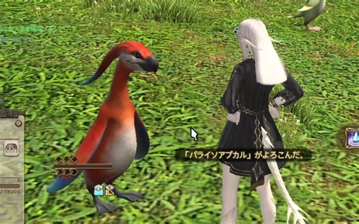 【FF14】6.2 无人岛 稀有动物捕获