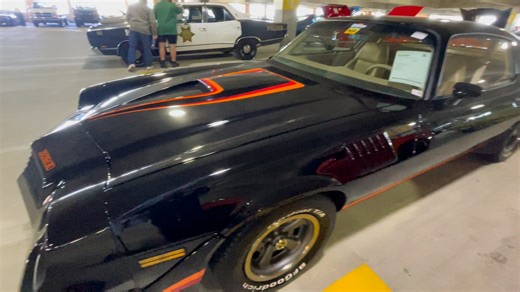 S240 - 1981 Chevrolet Camaro Z28