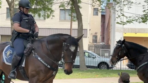 Our Mounted Patrol’s main focus is to interact with the citizens of Manchester, and get to know you! Officer Kelly McKenney and Brianna Miano are often out on Elm St riding and talking with folks. They also attend numerous community events, visit schools and nursing homes, and more. MPD’s unit is the last in the state, a non-profit funded by donations . There are also excellent volunteers who give of themselves to keep the unit running smoothly. If you see our officers out and about riding Gener