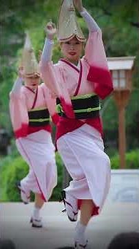 【阿波踊り2026】#徳島城阿波おどり #娯茶平 #祭り #traditional #dance