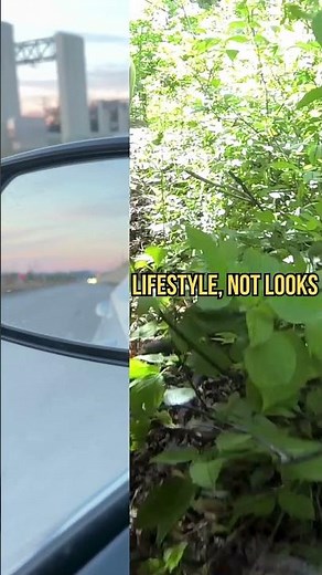 All-Season vs All-Terrain — Real Difference