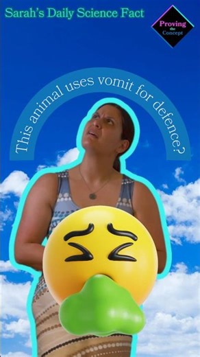 This animal uses vomit as a defence mechanism?