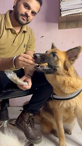 117 reactions · 3 comments | Benefits of hemp seed oil : ....