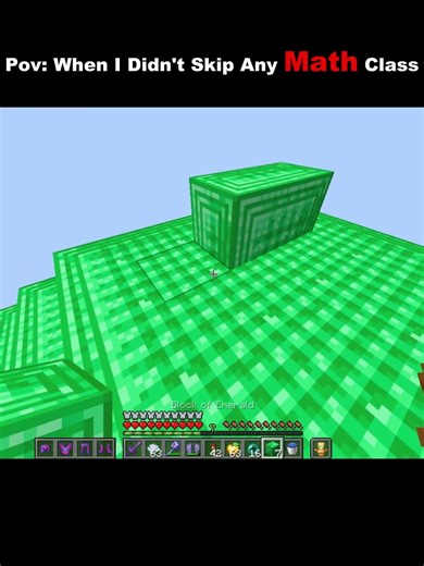 Pov : When I Didn't Skip Any Math Class #minecraft