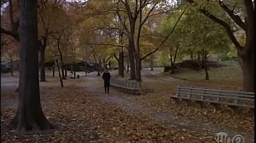 Paternity- (1981) Burt Reynolds Beverly D'Angelo