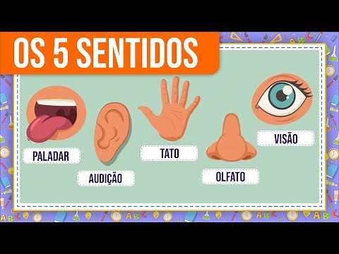 CINCO SENTIDOS - VÍDEO EDUCATIVO | Vila Educativa