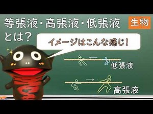 等張液，高張液，低張液をわかりやすく説明します！【23生物】