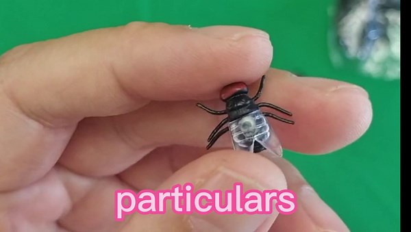 YPY 100pcs Plastic Flies Joke Novelty Toys