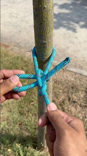 How To Tie A Knot Around The Tree ?