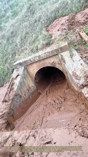 Drain Rescue: Clearing the Clog