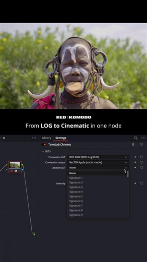 Edited with ToneLab Chroma. #colorgrading #davinciresolve #tonelab #cinematic #redkomodo