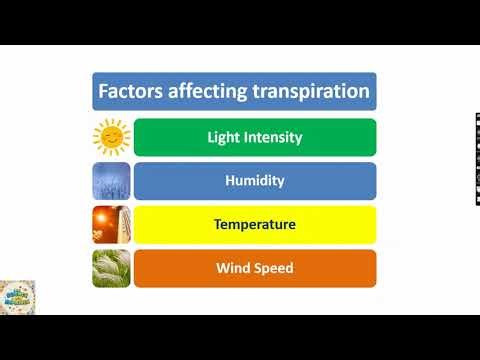 Transpiration in Plants