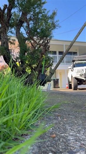 Long Grass Satisfying Crisp Edging #gardening #satisfying #tools