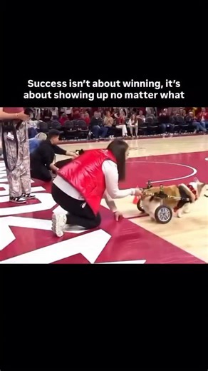 Billy Carson on Instagram: "SHOW UP for yourself, join Billy Carson in the @4bkacademy #4biddenknowledge #BillyCarson #billycarsonofficial"