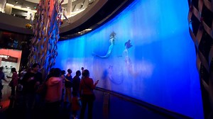 Virtual Aquarium - Falcon's Creative Group