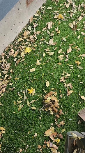 Turd Nerd scoops the dog poop so you dont have to #doglover #dirtyjob #boise #treasurevalley #scoopdogpoop #pooperscooper #turdnerd | Stephanie Kellogg